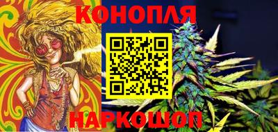 apvp Кингисепп
