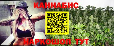 apvp Кингисепп