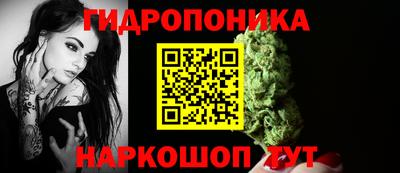 apvp Кингисепп