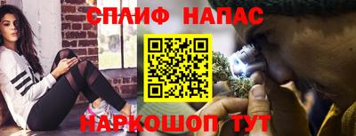 apvp Кингисепп