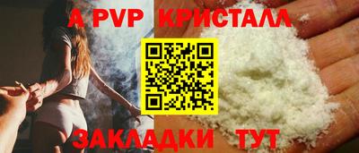 apvp Кингисепп