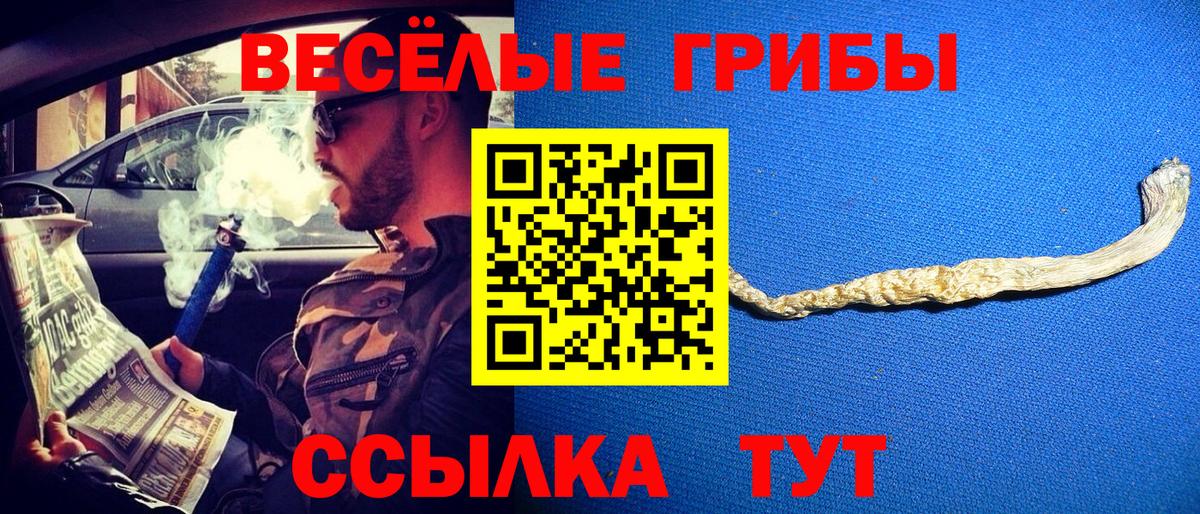 Псилоцибиновые грибы MAGIC MUSHROOMS  Вход с VPN  Курчалой  Псилоцибиновые грибы мухоморы 